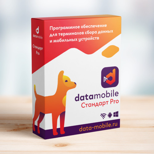 ПО DataMobile, версия Стандарт Pro в Омске